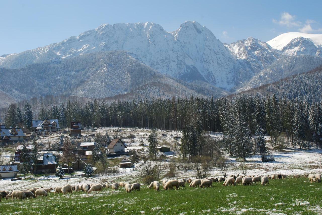 Domek Na Wierchu I Apartament Na Wierchu Zakopane Buitenkant foto