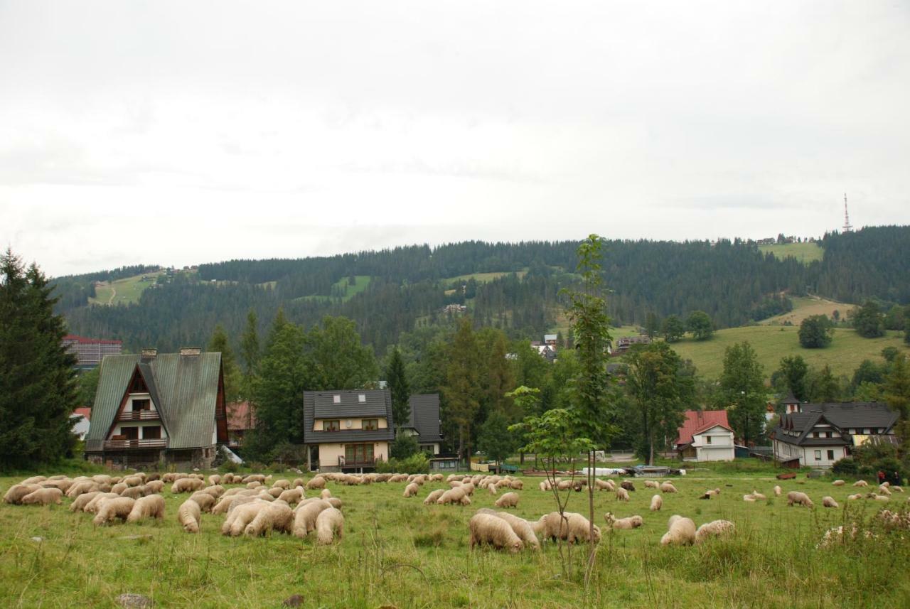 Domek Na Wierchu I Apartament Na Wierchu Zakopane Buitenkant foto