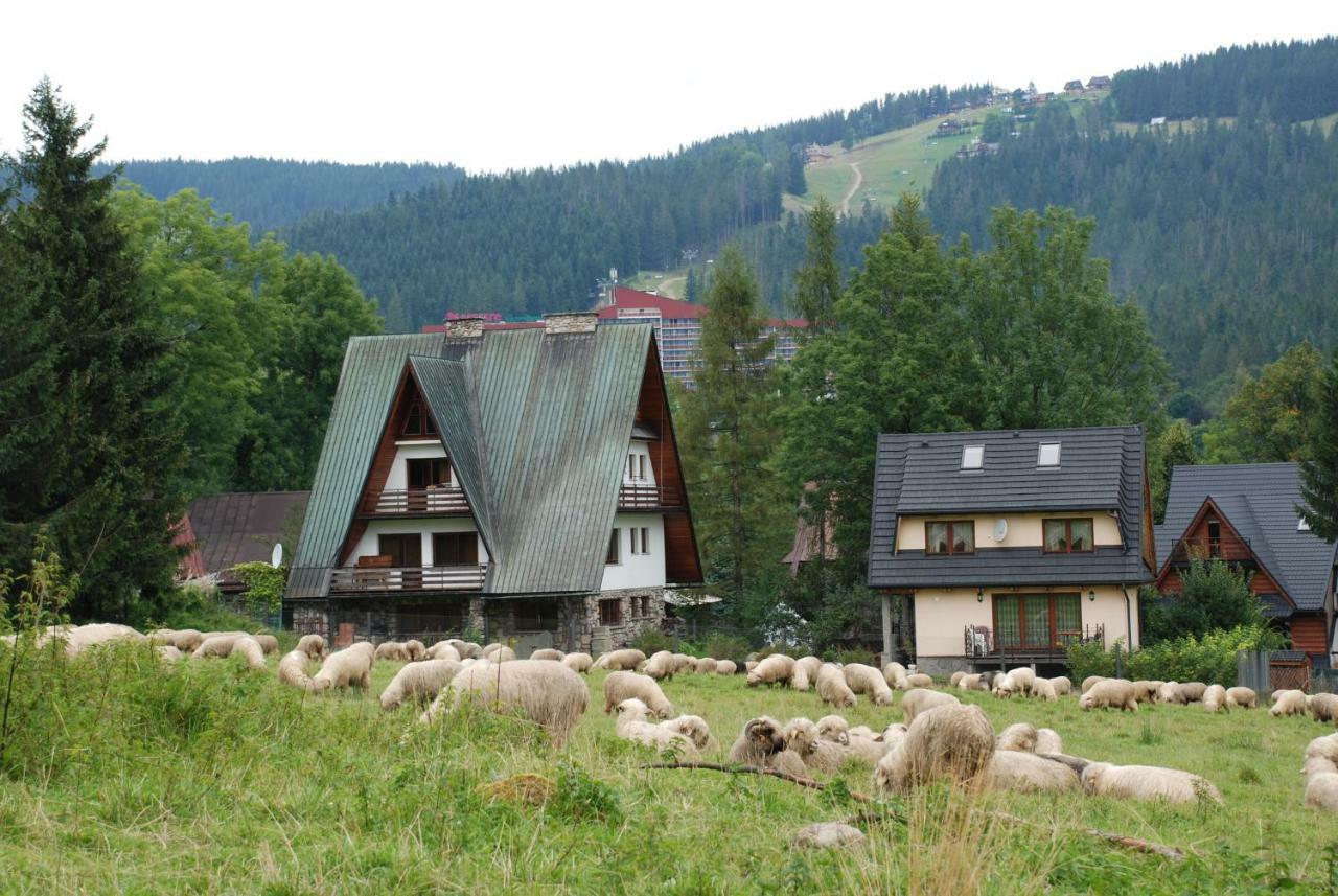 Domek Na Wierchu I Apartament Na Wierchu Zakopane Buitenkant foto